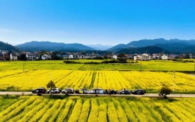 红色文脉+生态奇境+市井烟火，安仁凭实力圈粉大湾区